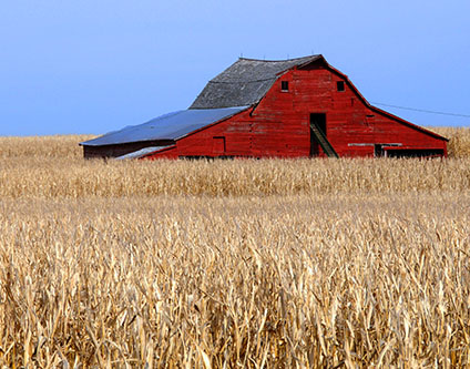 Barn